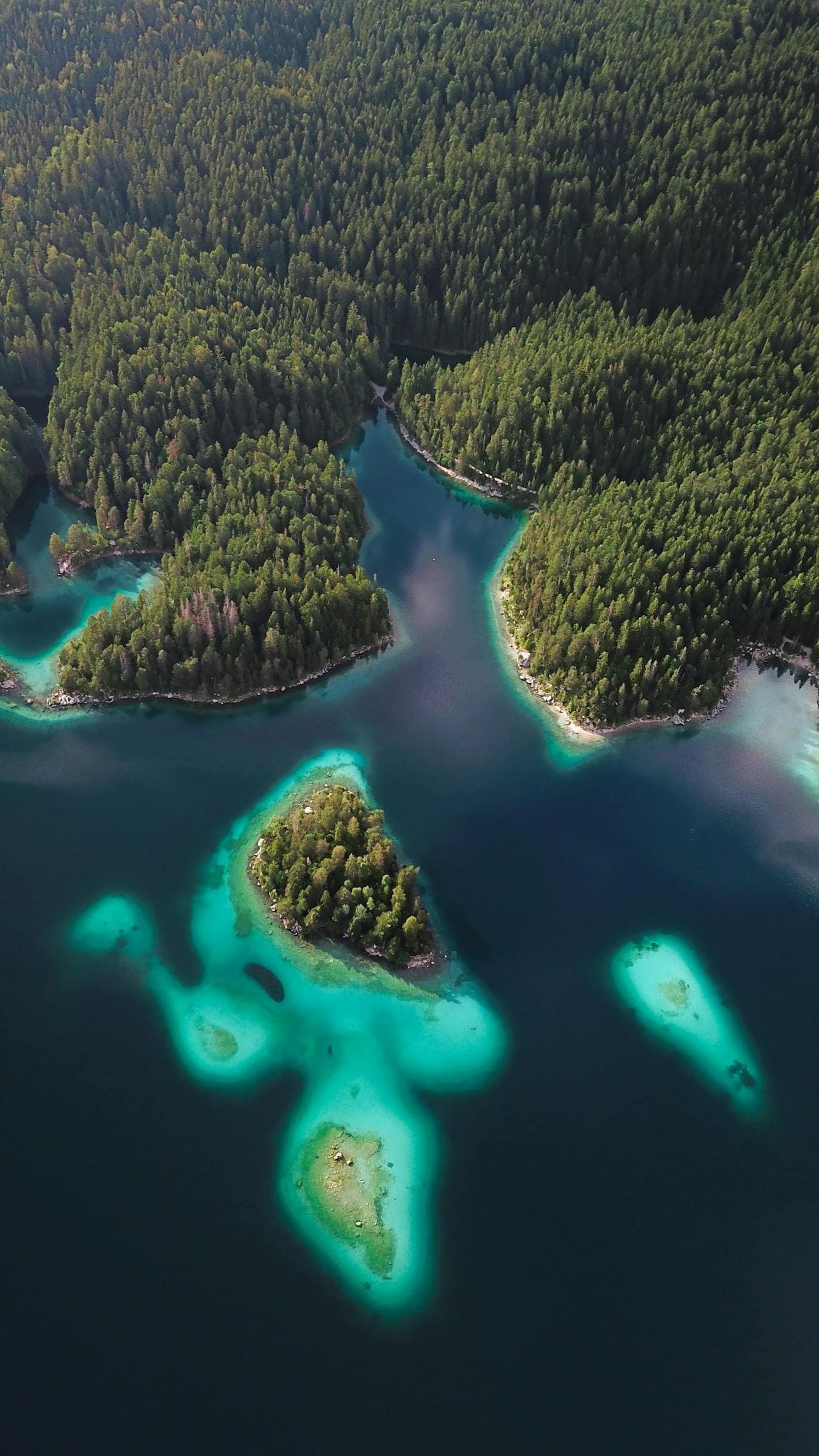 Blue carbon mangrove and coastal monitoring