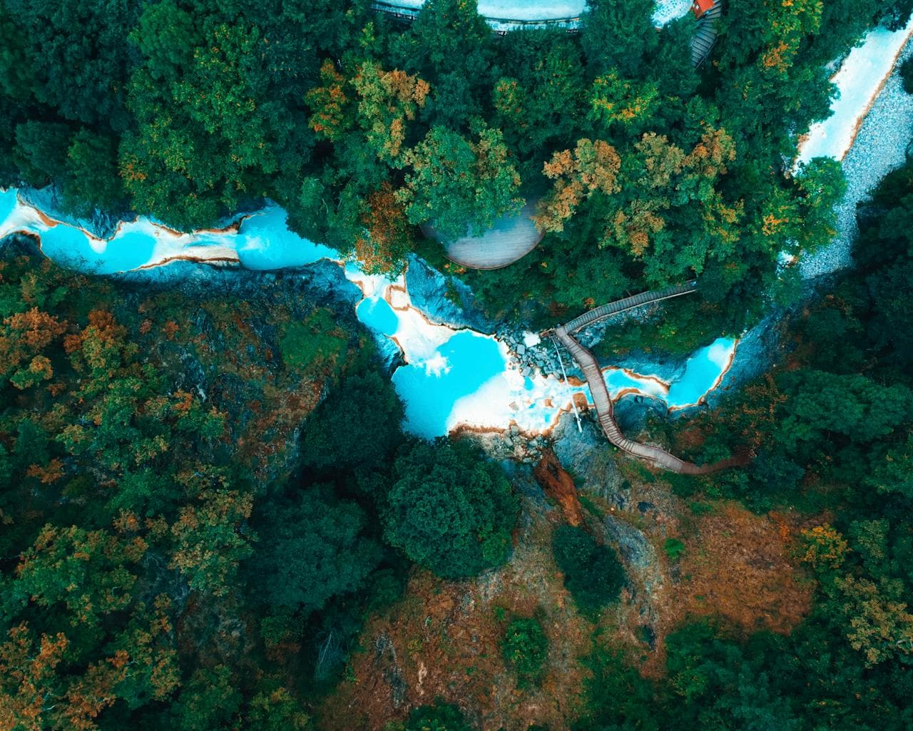Nature-based carbon remote sensing technology